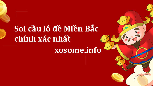 Soi-cau-lo-de-mb-chuan-nhat-xosome